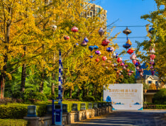 花样年•麓湖国际实景图