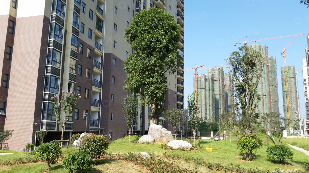 【东贝佳苑_黄石东贝佳苑楼盘】房价,户型,开盘时间详情-黄石贝壳新房