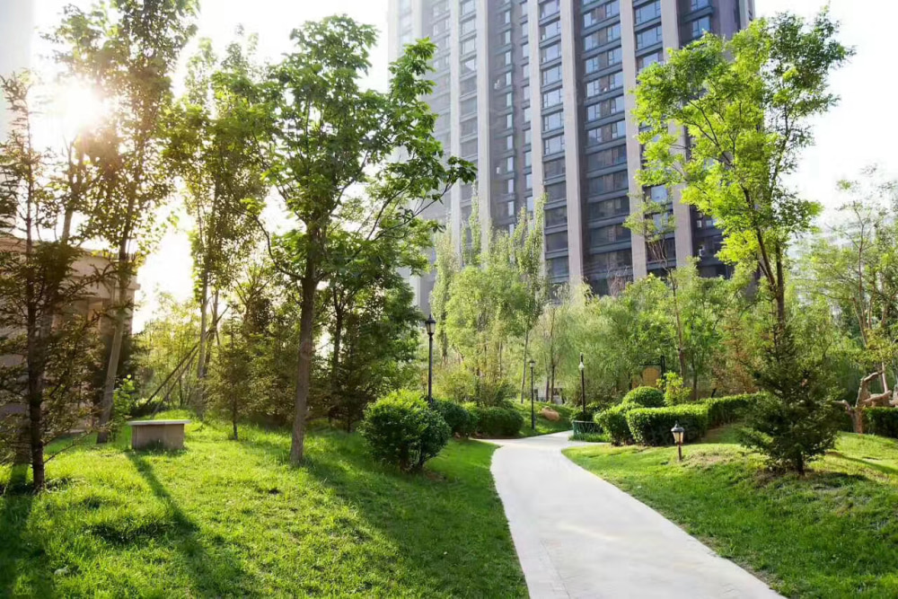K2京南狮子城实景图