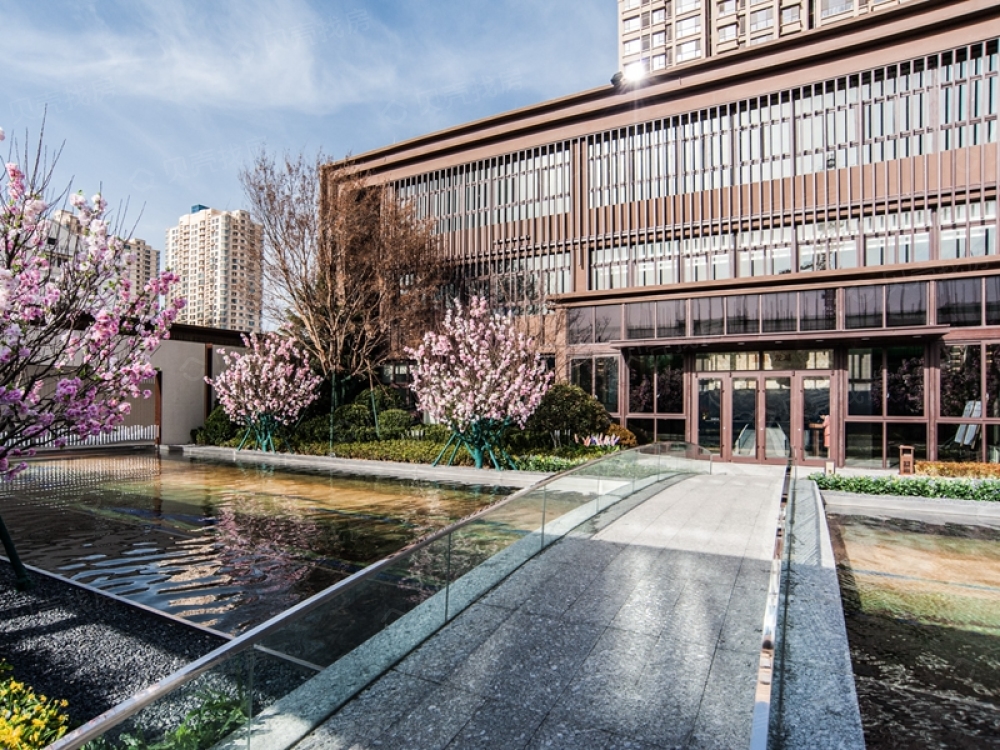 金猴龙湖天璞相册