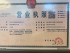 碧桂园·凤凰城开发商营业执照