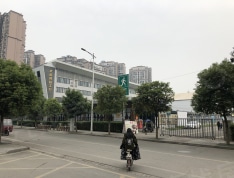 城市绿洲实景图