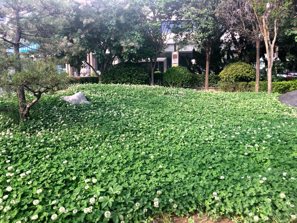 【九树_西安九树楼盘】实景图相册-西安贝壳新房