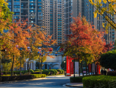 花样年•麓湖国际实景图