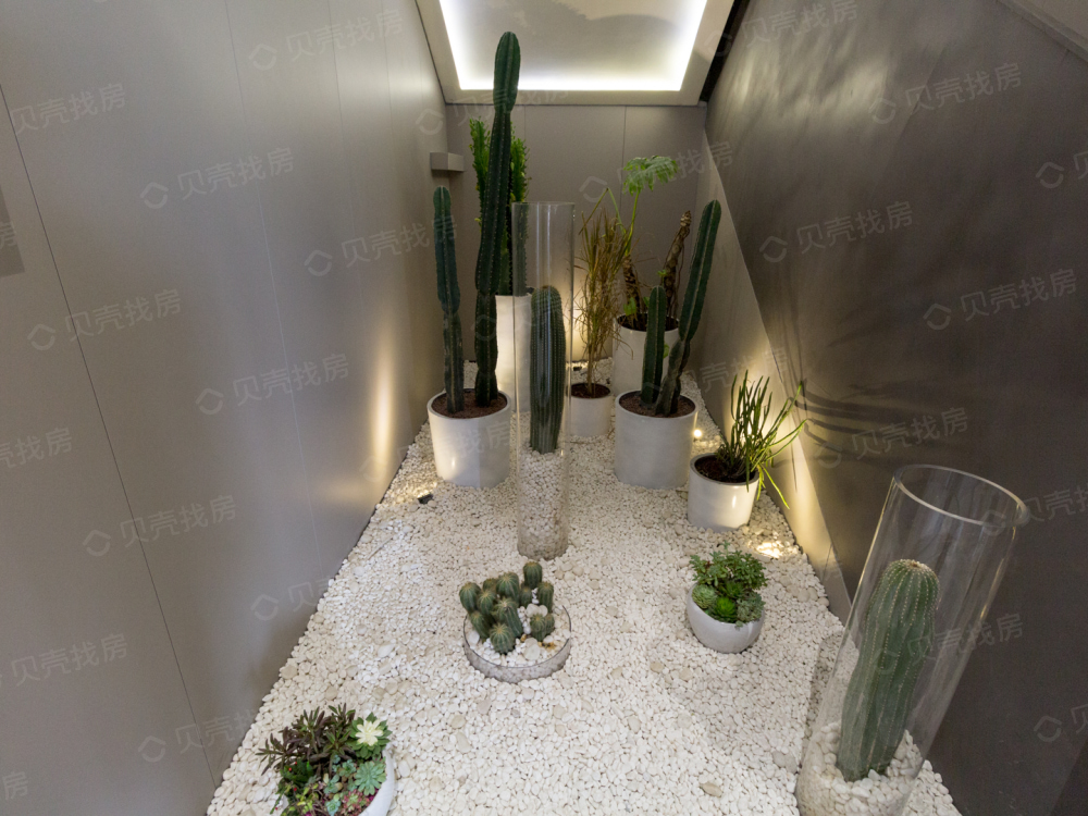 绿城西府海棠相册