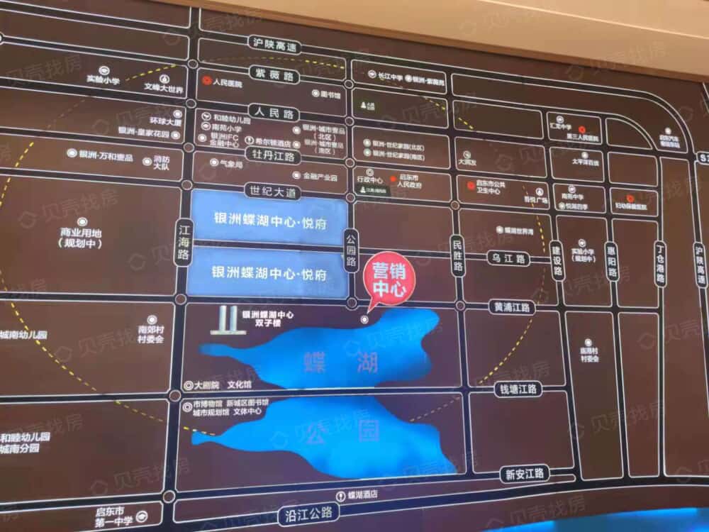 银洲悦府区位