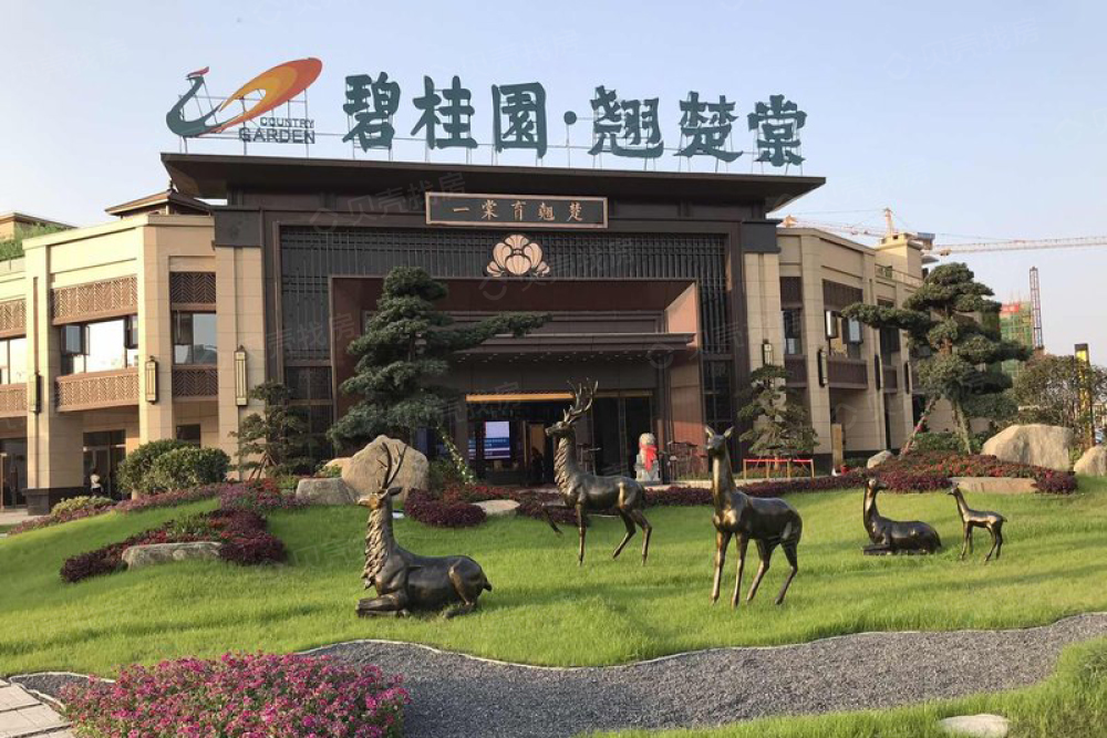 【碧桂园翘楚棠_连云港碧桂园翘楚棠楼盘】房价,户型,开盘时间详情