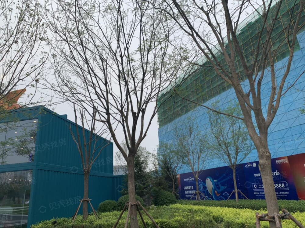 碧桂园·云河park相册