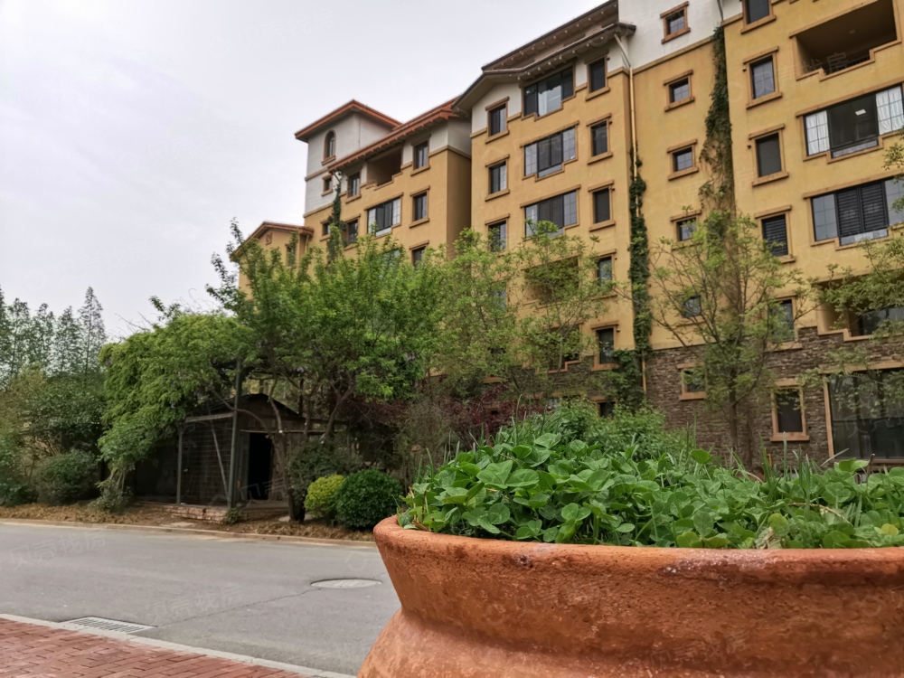 东星卡纳溪谷相册