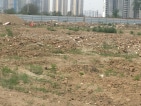 金科集美公馆实景图