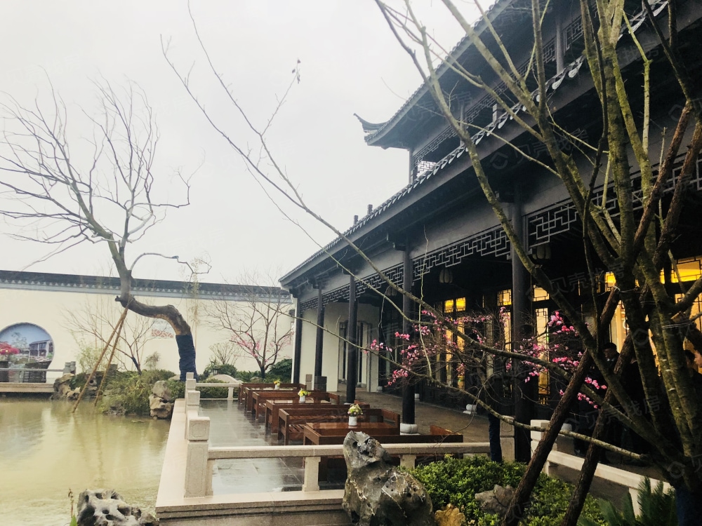 和泓桃李春风相册