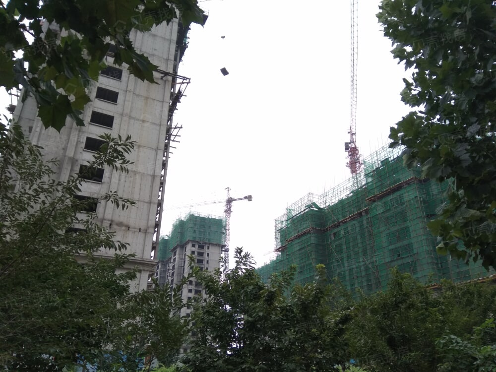 丛台    金和湾实景图