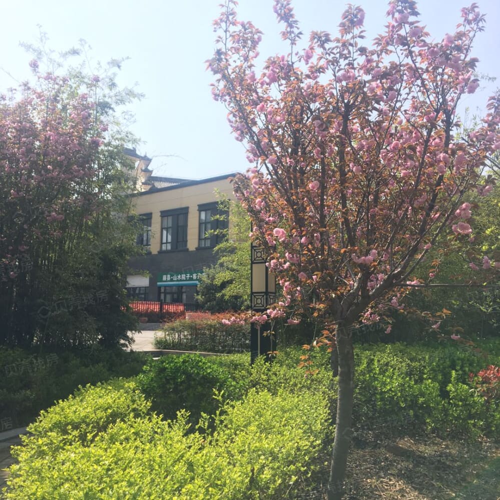 天朗富春棠樾相册