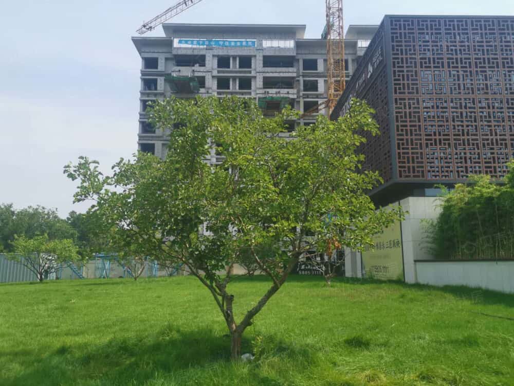 章丘江山一品相册