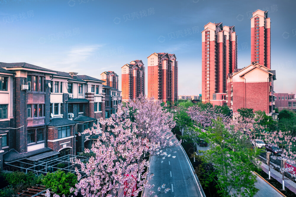 中海国际公园城相册