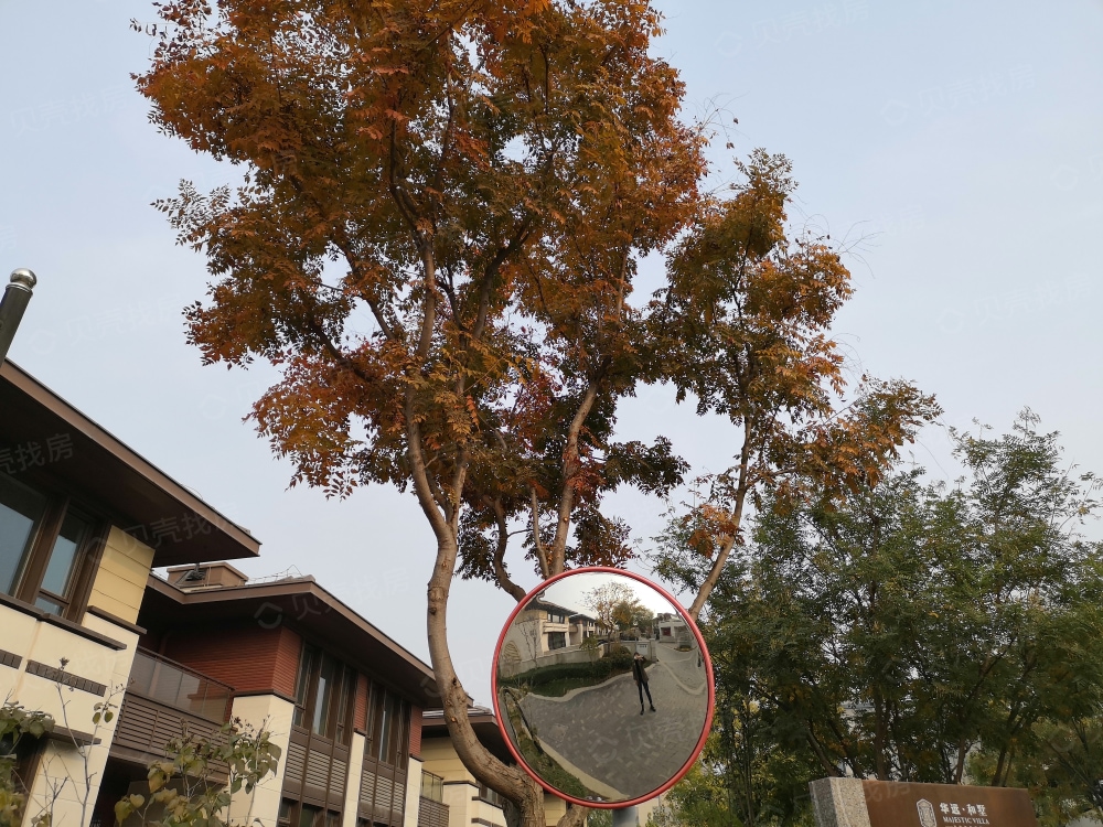 华远和墅实景图