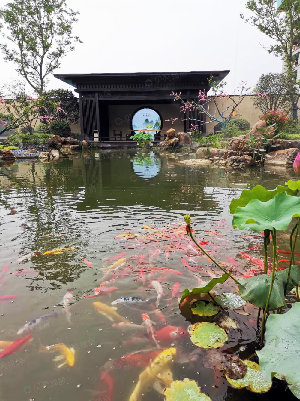 申泰悦龙门相册