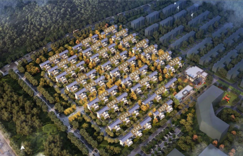 世茂莲花山小镇