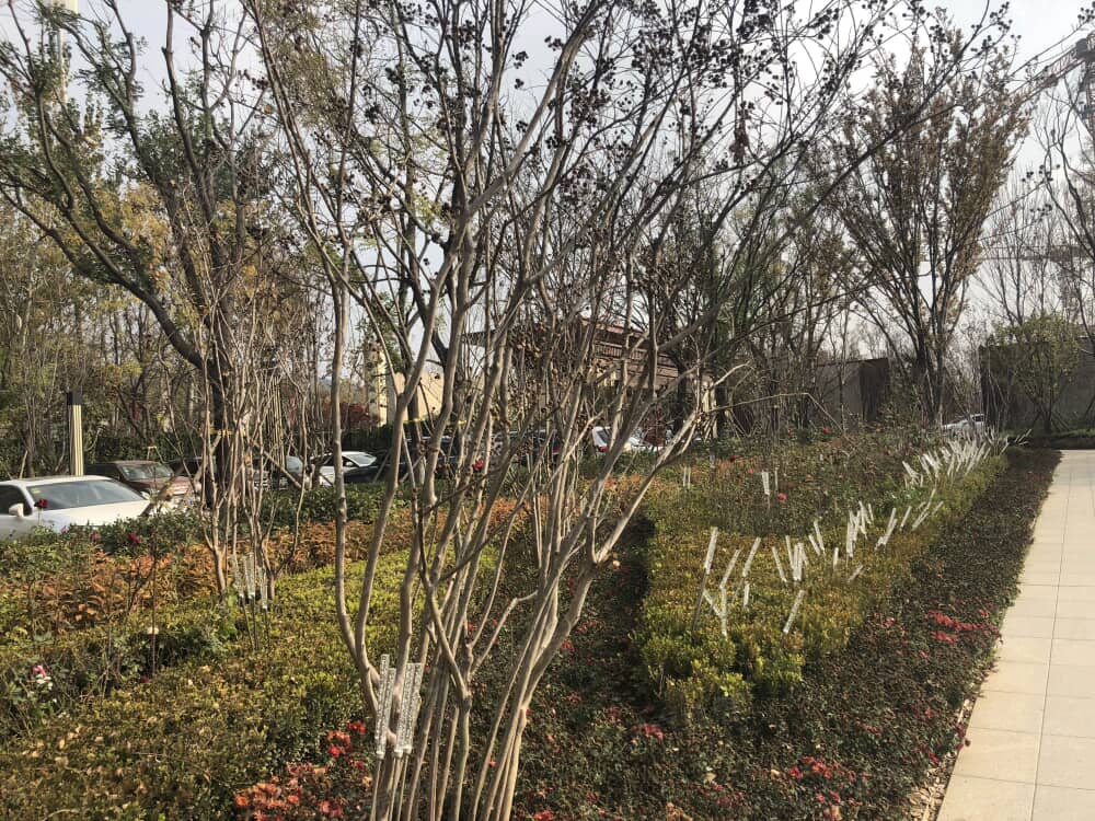 新中铁城实景图