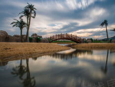 世茂御龙海湾实景图