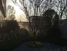 金科集美公馆项目现场
