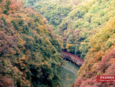 吉源星河境实景图