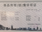 鲁能胜地泰山7号预售许可证
