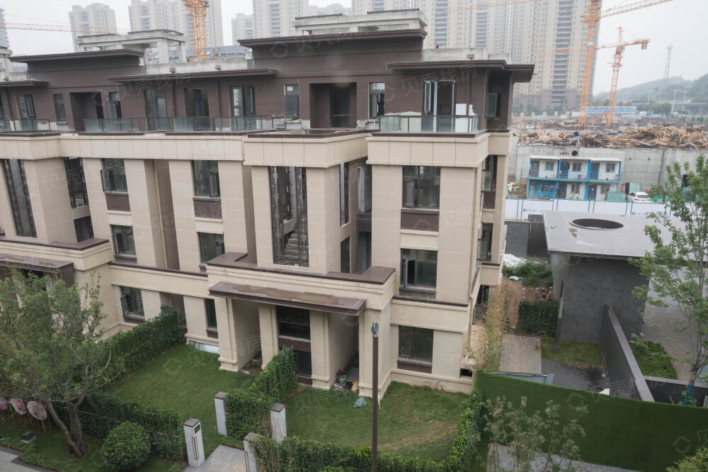 保利和唐悦色相册