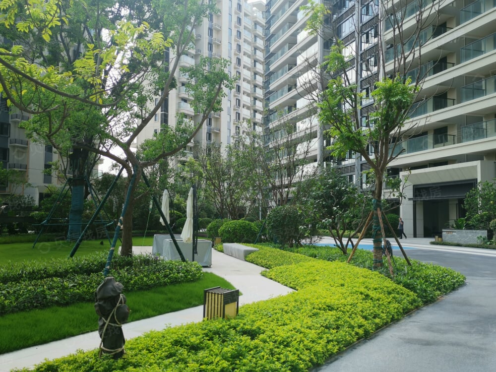 星海银沙效果图