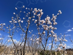 花都水岸项目现场