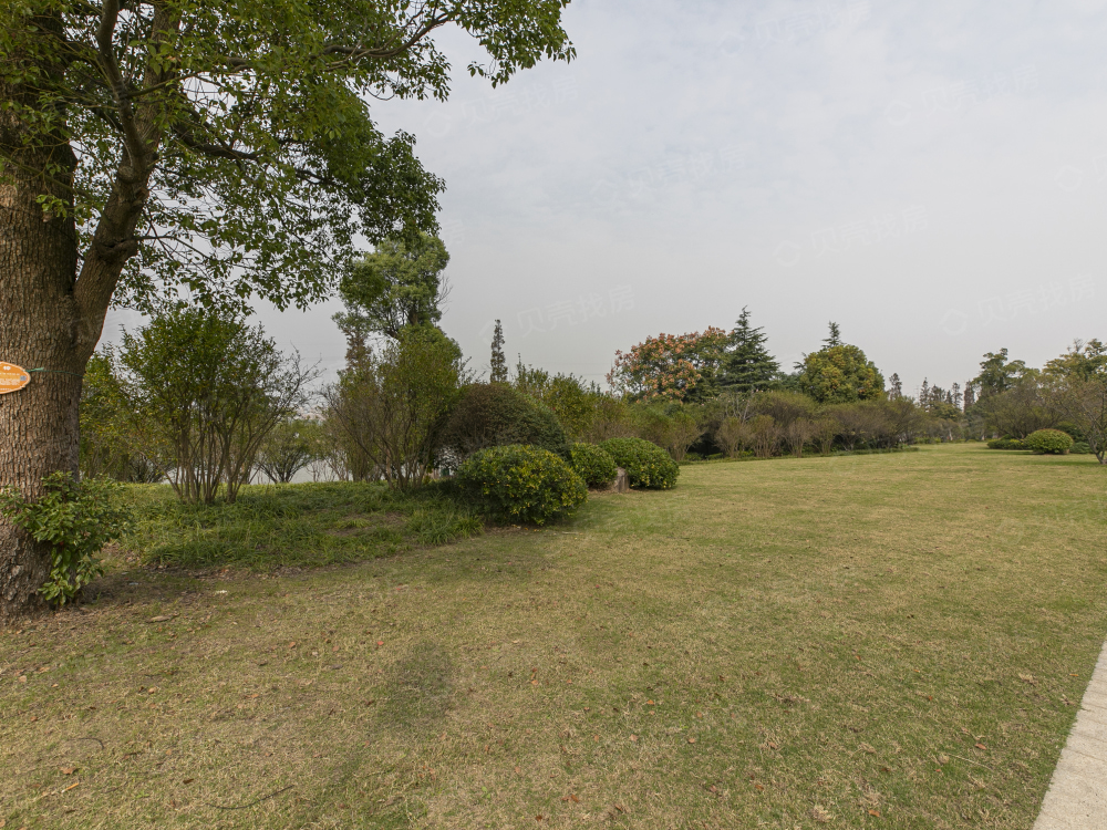 越秀·向东岛相册