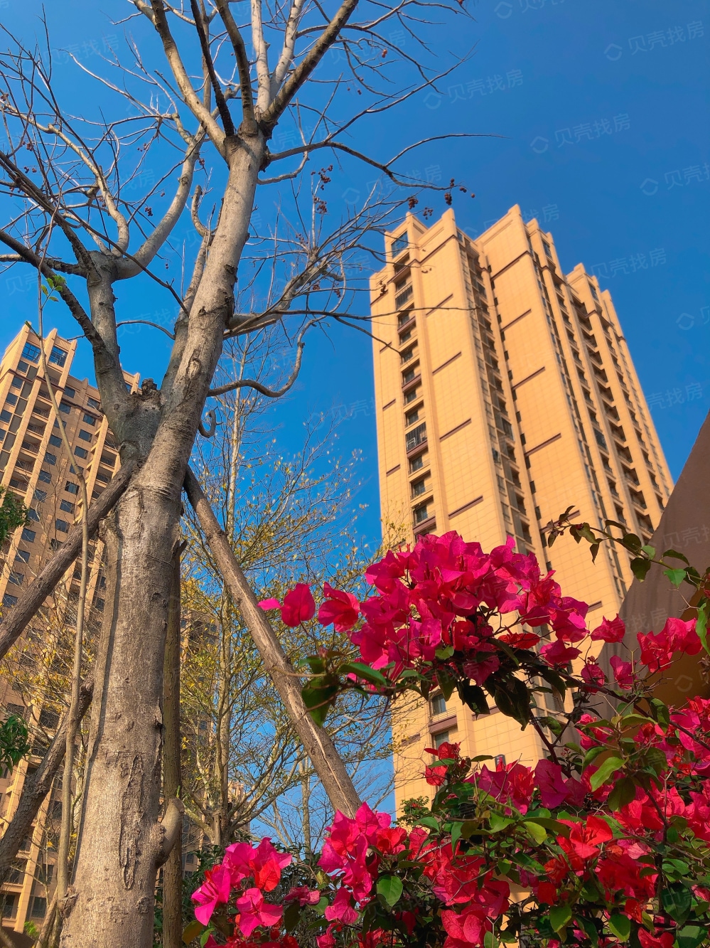 【海西如意城_厦门海西如意城楼盘】项目现场相册|高清大图-厦门贝壳