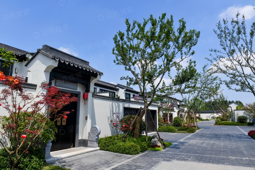 【中颐蓝城·桃花源_石家庄中颐蓝城·桃花源楼盘】房价,户型,开盘