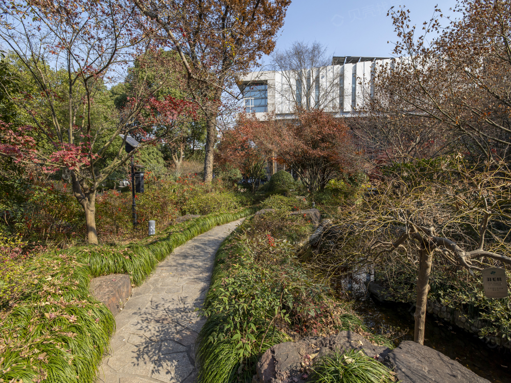 黄浦湾·玉象府相册