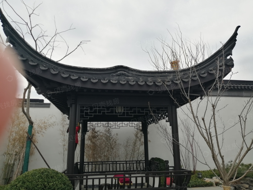 蓝城桃李春风实景图