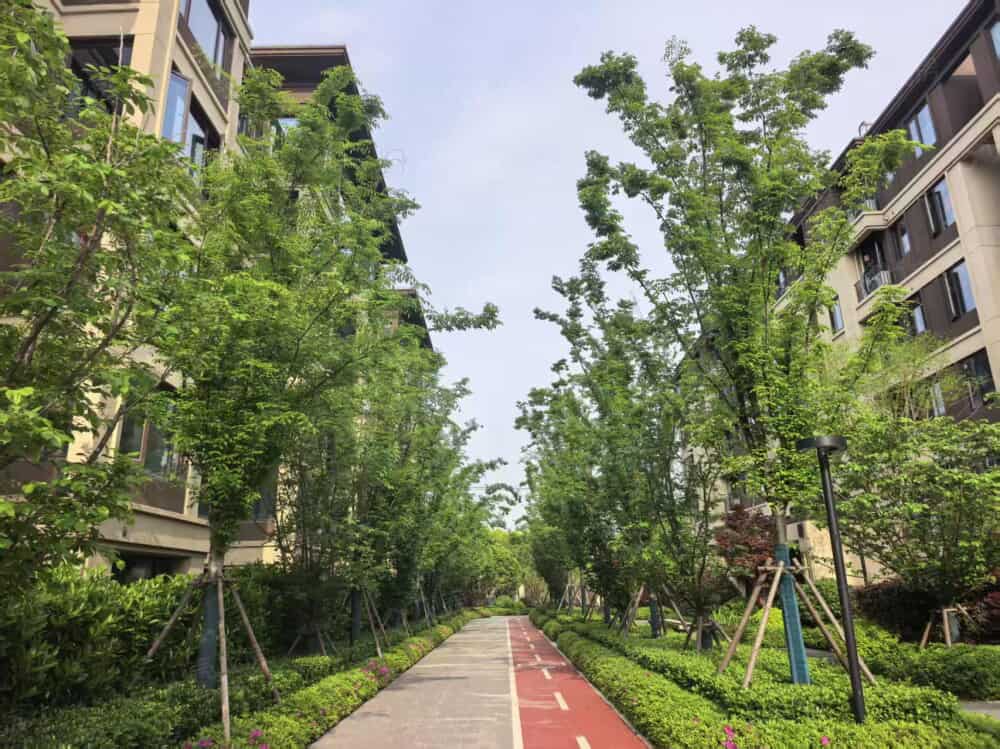 中建大椿·嘉利椿廷实景图