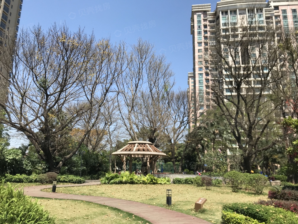 珠岛花园金湾明珠相册