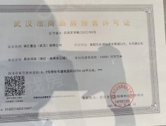 保亿未来长江城预售许可证