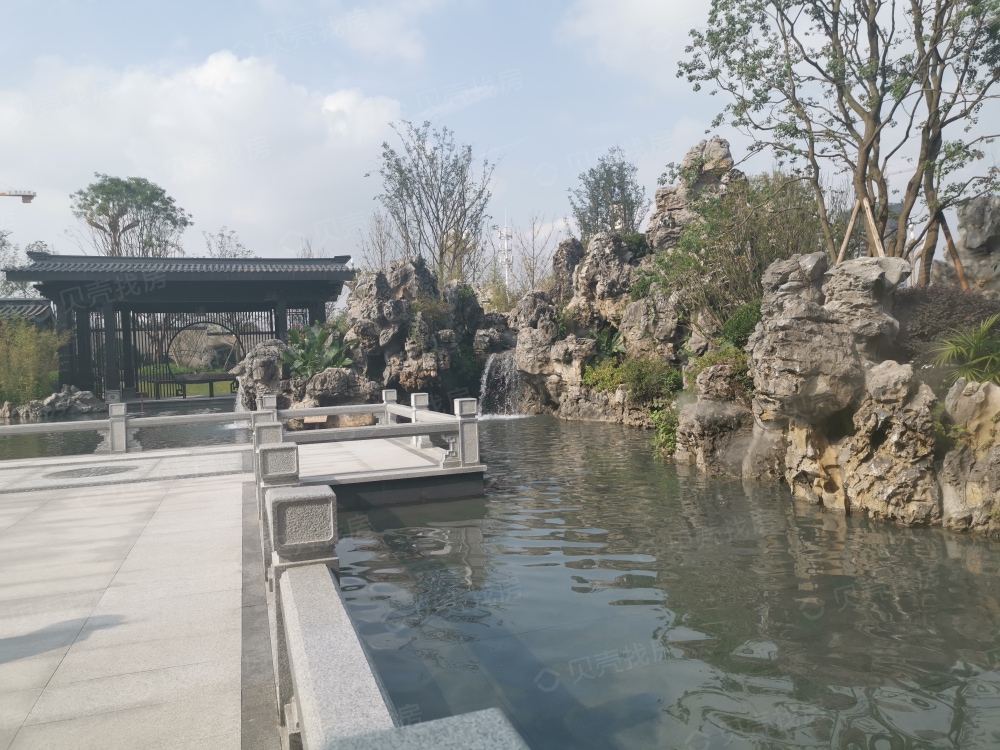 鸿通公园1988天著相册