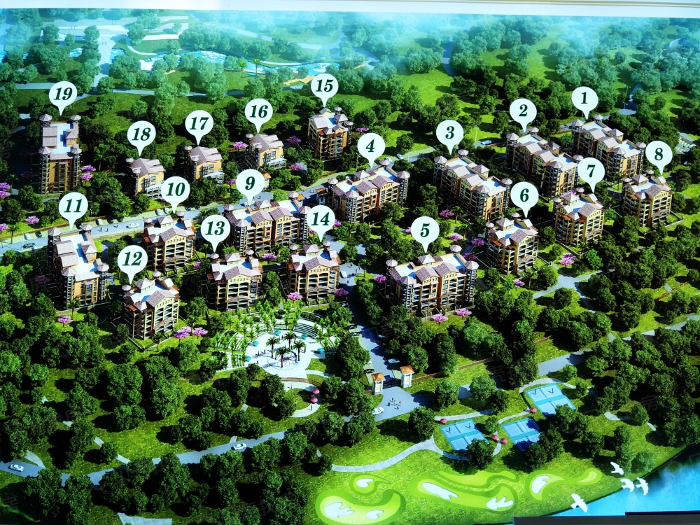 麒麟花海效果图