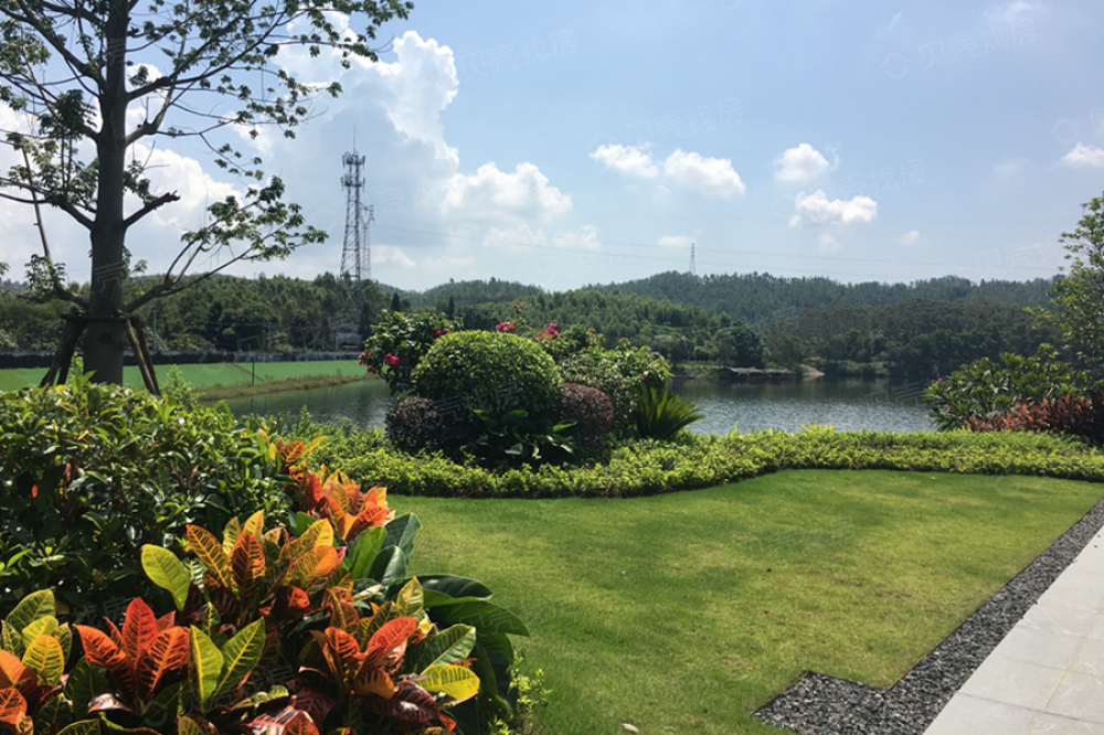 阳光城丽景湾相册