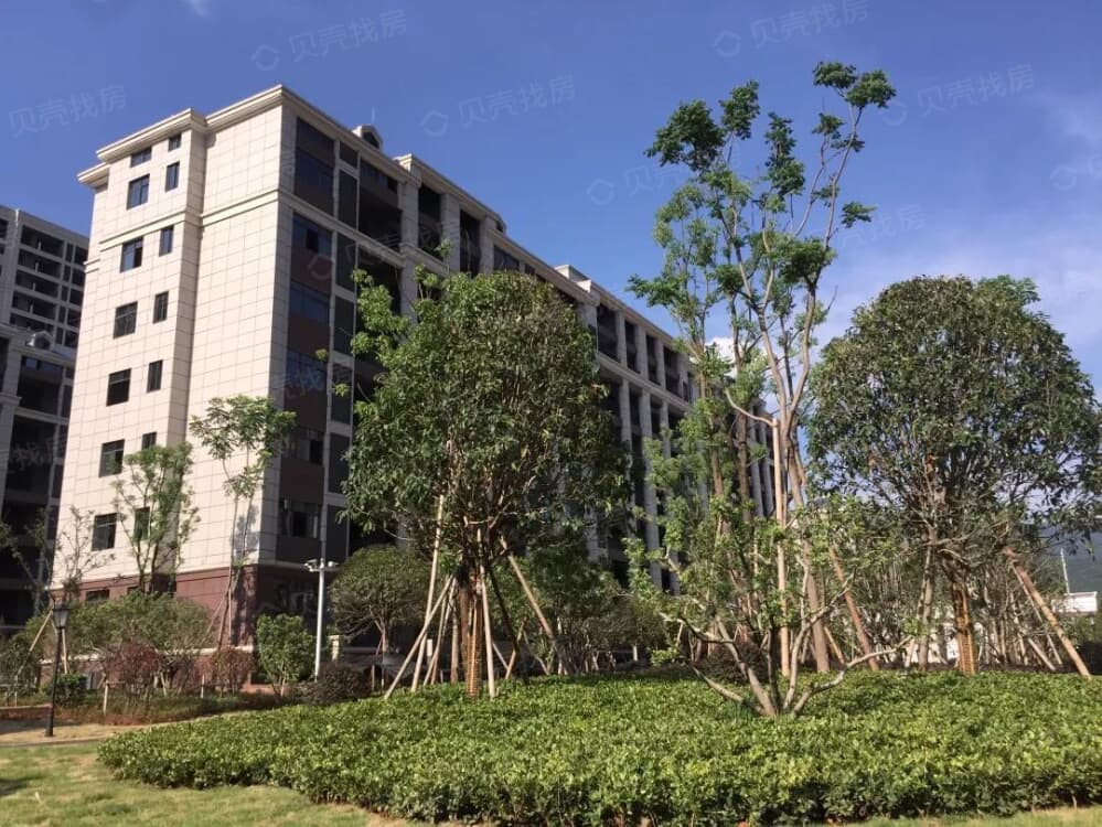 东山金色海岸实景图