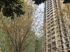 朗诗未来街区实景图