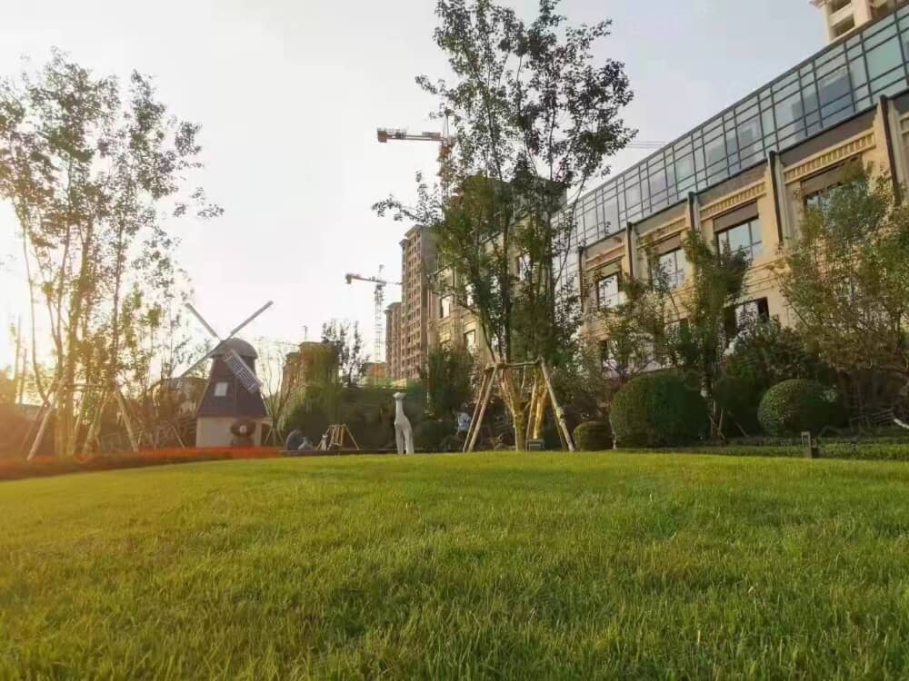 鹏渤·印象城实景图