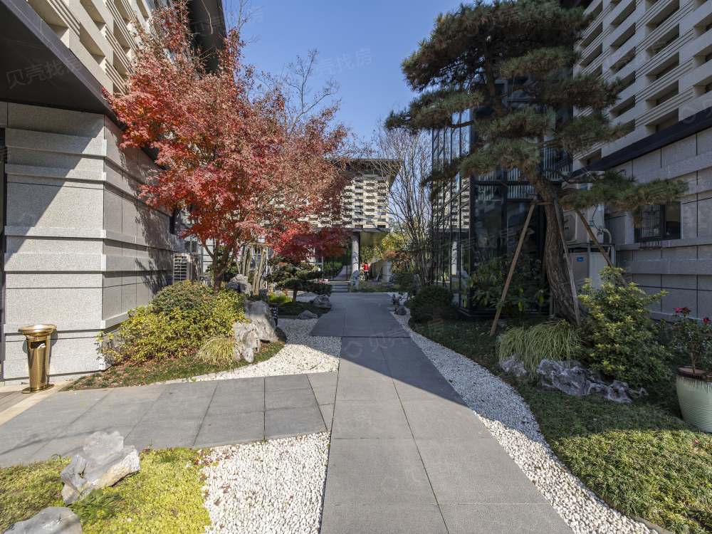 黄浦湾·玉象府相册