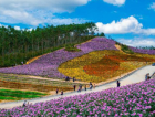 建发山外山实景图