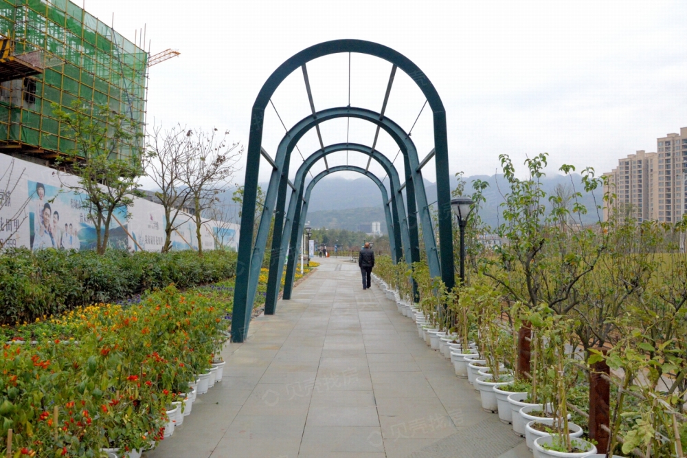 金阳第一农场大学城相册