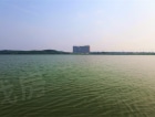 芭蕉湖 · 恒泰雅园实景图