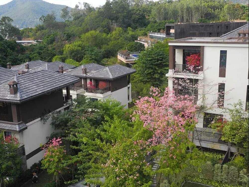 骏豪椿山庄相册