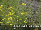 兴忠南湖御景小区配套